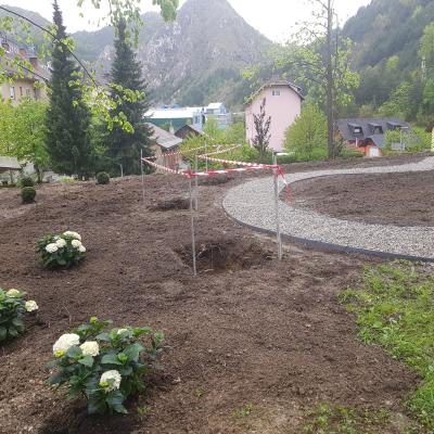Zasaditve 09